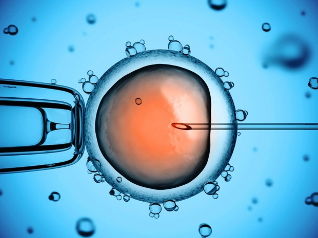  η μέθοδος της μικρογονιμοποίησης χρησιμοποιείται σε περίπτωση που το σπέρμα είναι πολύ αδύναμο