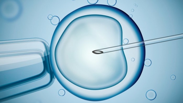  η μέθοδος IVF η οποία επικράτησε να λέγεται εξωσωματική γονιμοποίηση 