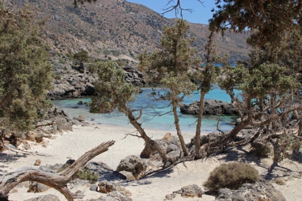 η παραλία Κεδρόδασος δίπλα στο Ελαφονήσι