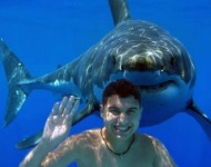 θύμα καρχαρία