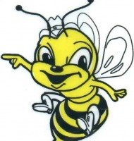 μέλισσες τσιμπάνε