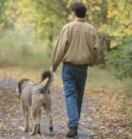 Άντρας βγάζει βόλτα τον σκύλο