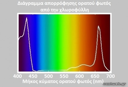 Γιατί τα φυτά είναι πράσινα