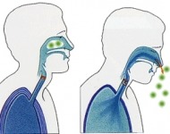 τι είναι φτέρνισμα