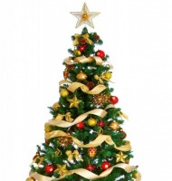 Χριστουγεννιάτικο δέντρο  Τι συμβολίζει το Χριστουγεννιάτικο δέντρο; 2