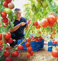 τι είναι βιολογικά προϊόντα