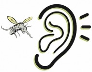 κουνούπια ζουζουνίζουν στα αυτιά