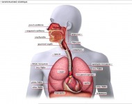 Επιπτώσεις αιθαλομίχλης στην υγεία