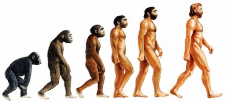 Θεωρία εξέλιξης του Δαρβίνου