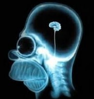 homer simpson idiot