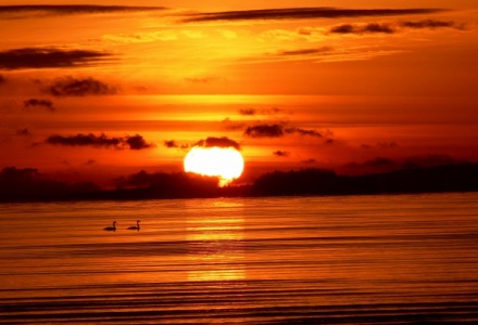 τι είναι η ευτυχία