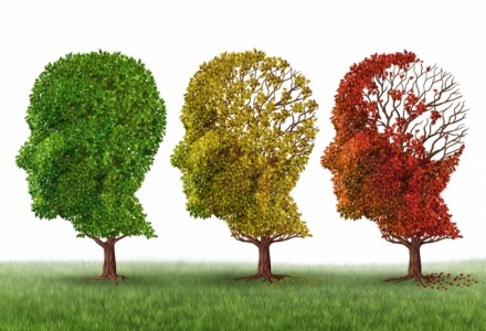Το αλτσχάιμερ πλήττει τα κύτταρα του εγκεφάλου μας