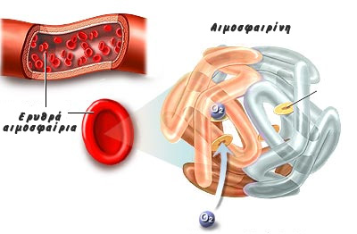 αιμοσφαιρίνη