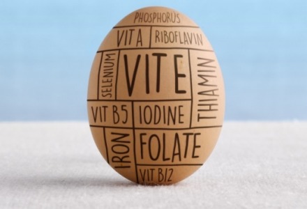το αυγό περιέχει πολλά θρεπτικά συστατικά
